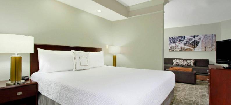 切萨皮克绿蔷薇SpringHill套房(SpringHill Suites Chesapeake Greenbrier)图片