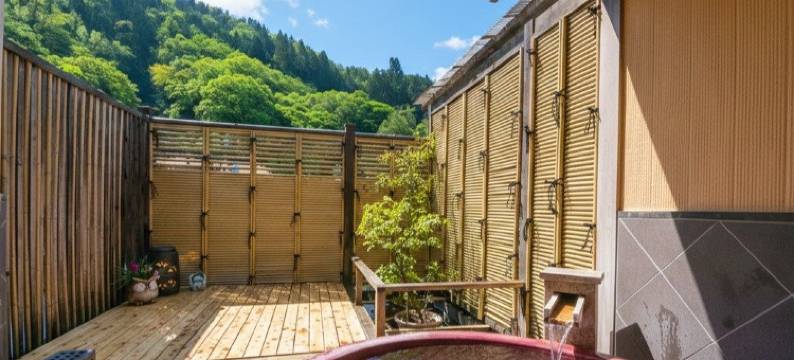 新扇屋旅馆(Ryokan New Ougiya)图片