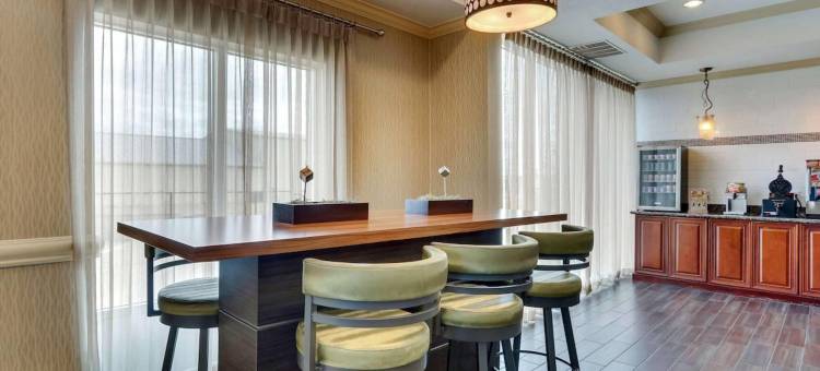 舒适酒店及套房(Comfort Inn & Suites)图片
