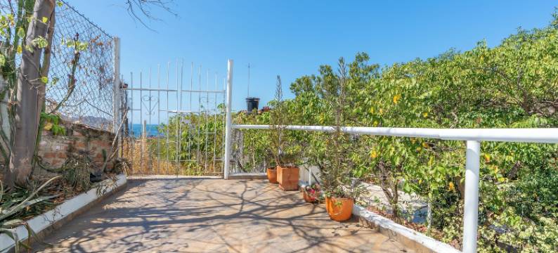 维托精品酒店塔甘加(Vito Hotel Boutique Taganga)图片