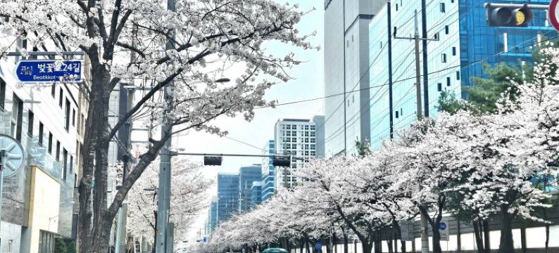 HOMES STAY G 谷加山(HOMES Stay G-valley Gasan)图片