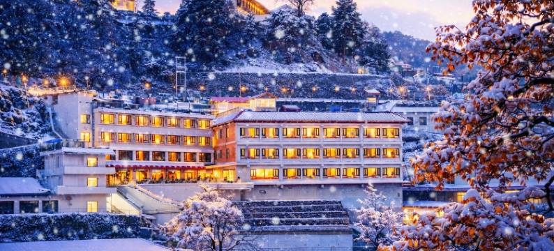 毗湿奴宫酒店(Hotel Vishnu Palace)图片