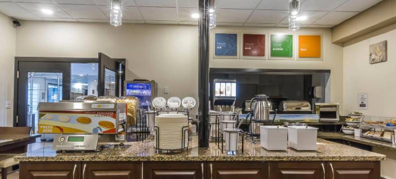 梅迪辛哈特舒适套房酒店(Comfort Inn & Suites)图片