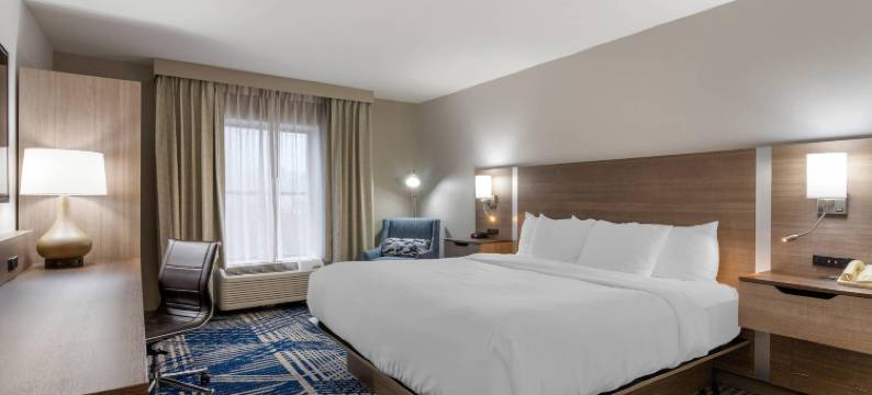 温泉城中城舒适套房酒店(Comfort Inn & Suites Hot Springs Midtown)图片