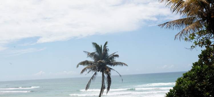 阿杭伽玛冲浪俱乐部(Ahangama Surf Club)图片