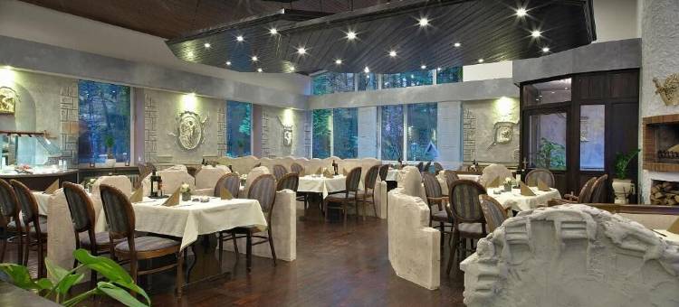 苏尔沃尔德森林酒店(Waldhotel Surwold)图片