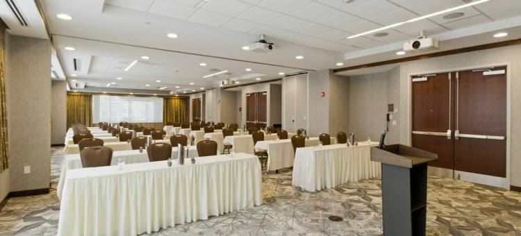 布法罗希尔顿安泊酒店(Embassy Suites by Hilton Buffalo)图片