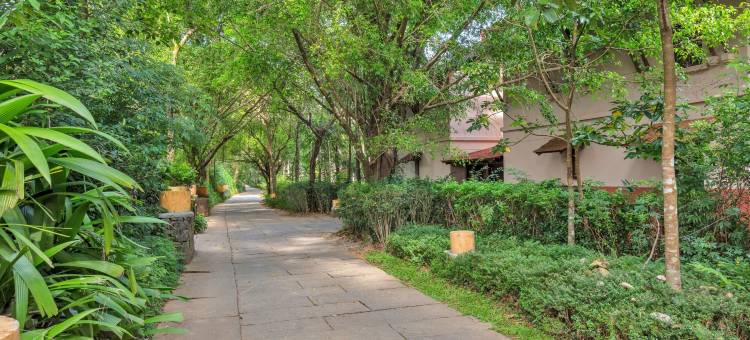 果达古马辛德拉马迪克里俱乐部酒店(Club Mahindra Madikeri, Coorg)图片