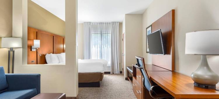 格林斯伯勒 - 高点舒适套房酒店(Comfort Suites Greensboro-High Point)图片