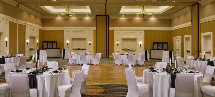 麦德威尔会议度假村及会议中心(MeadowView Conference Resort & Convention Center)图片