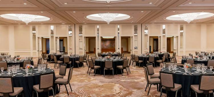 印第安维尔斯埃斯梅拉达万丽度假水疗度假村(Renaissance Esmeralda Resort & Spa, Indian Wells)图片