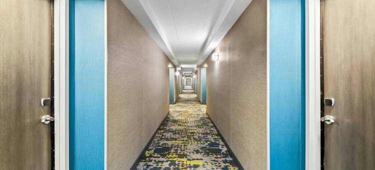 莱克星顿 - 乔治敦75号州际公路欢朋酒店(Hampton Inn Lexington/Georgetown)图片