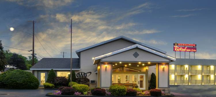 赫基默红顶套房酒店(Red Roof Inn & Suites Herkimer)图片
