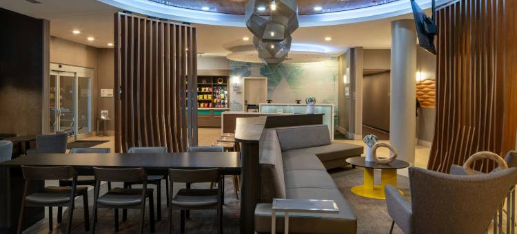查尔斯湖万豪SpringHill酒店(SpringHill Suites Lake Charles)图片