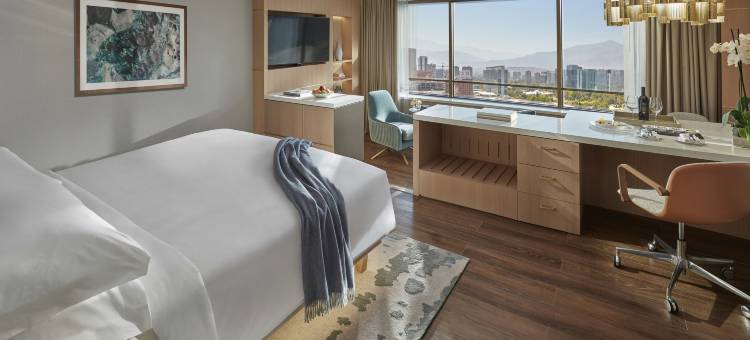 圣地亚哥文华东方酒店(Mandarin Oriental, Santiago)图片