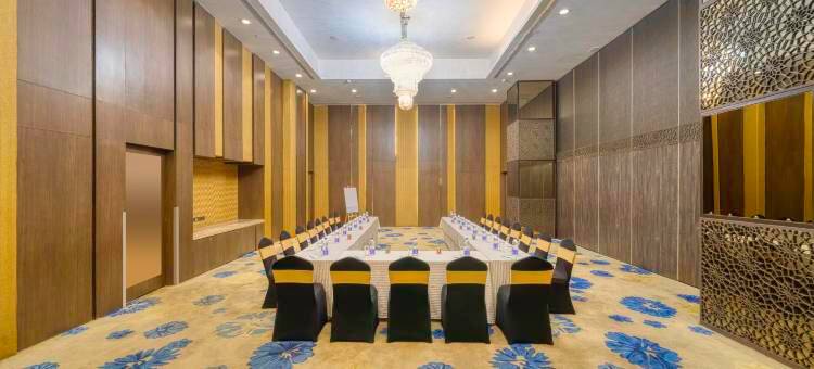 加尔各答机场假日酒店(Holiday Inn Kolkata Airport,)图片