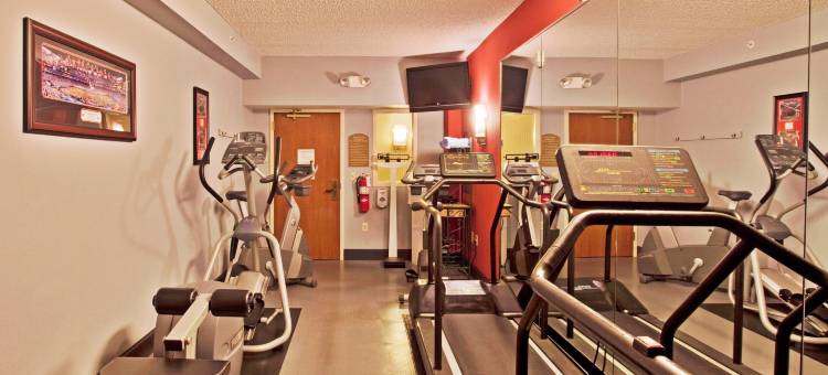 坦帕I-75布鲁斯B唐斯智选假日套房酒店(Holiday Inn Express & Suites Tampa-I-75 @ Bruce B. Downs)图片
