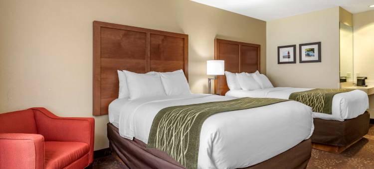 东兰辛奥克莫斯舒适酒店(Comfort Inn Okemos - East Lansing)图片
