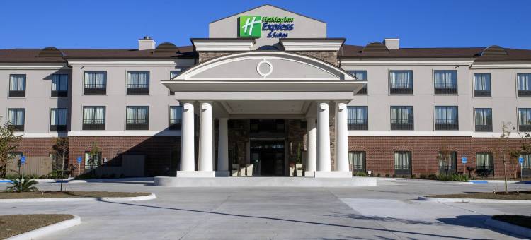 摩根城小虎岛智选假日酒店(Holiday Inn Express & Suites MORGAN CITY - TIGER ISLAND by IHG)图片