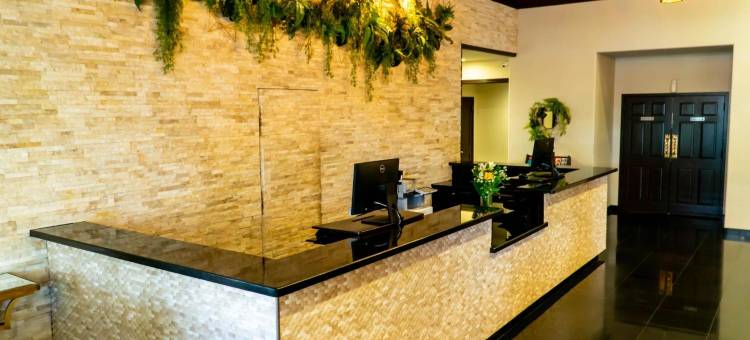 皮卡迪利酒店(Hotel Piccadilly)图片