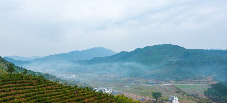 初见婺源公寓(文公北路2号分店)图片