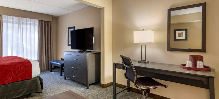 舒适套房酒店(Comfort Suites Alpharetta/Roswell - Atlanta Area)图片