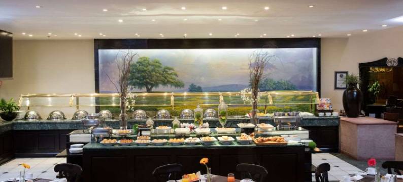 蒙特雷水晶酒店(Krystal Monterrey)图片