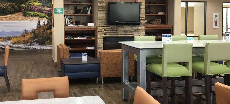 布恩 - 大学区凯艺套房酒店(Quality Inn & Suites Boone - University Area)图片