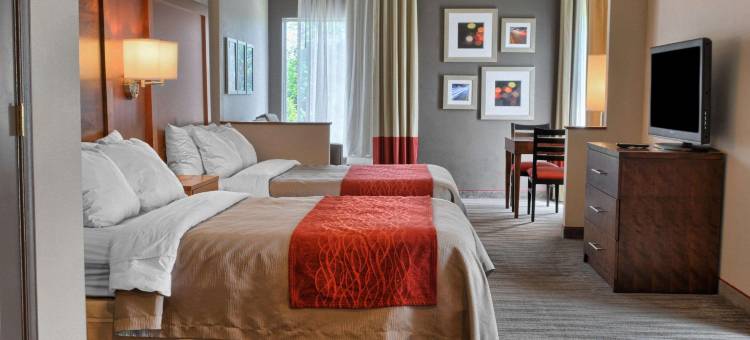 路斯格兰帝王之城附近舒适酒店(Comfort Inn Ruther Glen Near Kings Dominion)图片