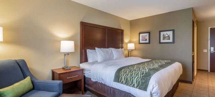 哈里斯堡机场赫塞南舒适酒店(Comfort Inn & Suites - Harrisburg Airport - Hershey South)图片