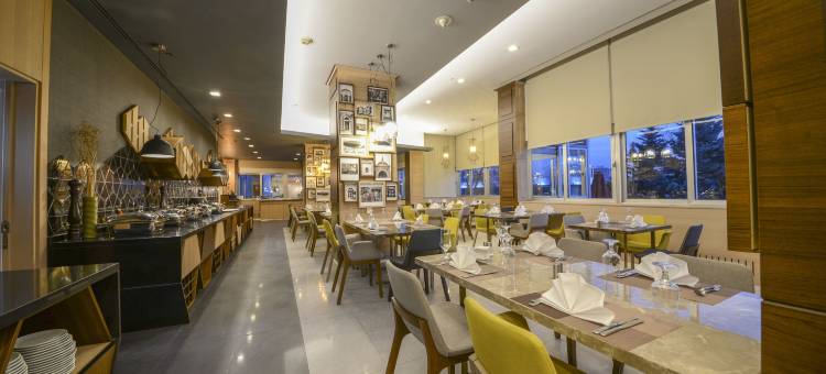 丽笙蓝标酒店-安卡拉(Radisson Blu Hotel, Ankara)图片