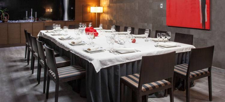 泽尼特莱里达酒店(Zenit Lleida)图片