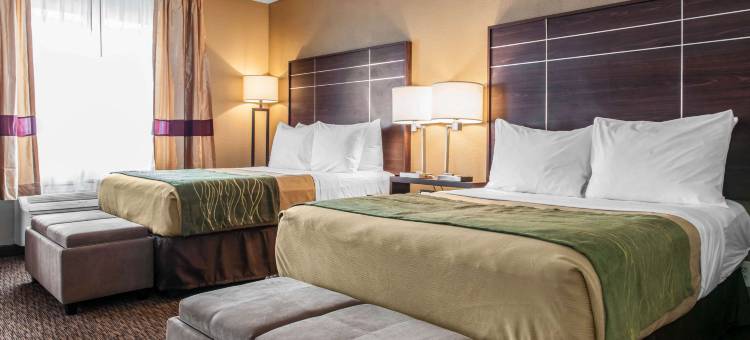 韦恩堡 Spark by Hilton 酒店(Spark by Hilton Fort Wayne)图片