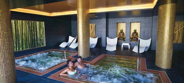 美罗尔拉斯里乌帕拉塞酒店(Hotel Riu Palace Meloneras)图片