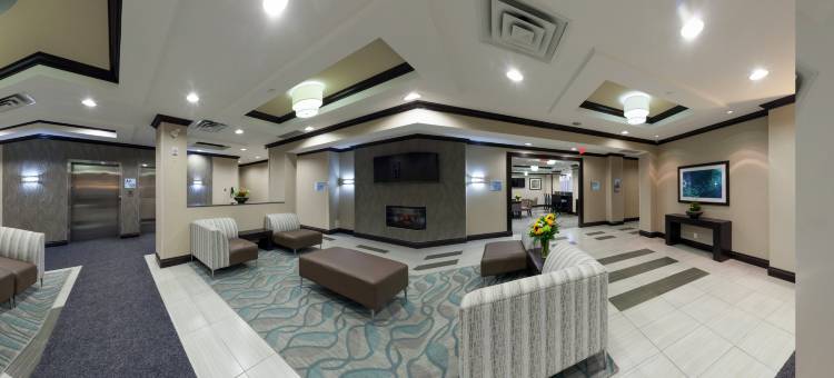 智选假日套房酒店新奥尔良西南(Holiday Inn Express & Suites Ottawa East - Orleans)图片