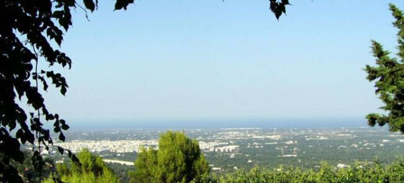 艾琳娜别墅B&B迷人住宿(Villa Elena B&B di Charme)图片