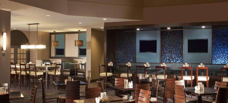 休斯顿希尔顿安泊套房酒店-近加勒里亚(Embassy Suites by Hilton Houston Near the Galleria)图片