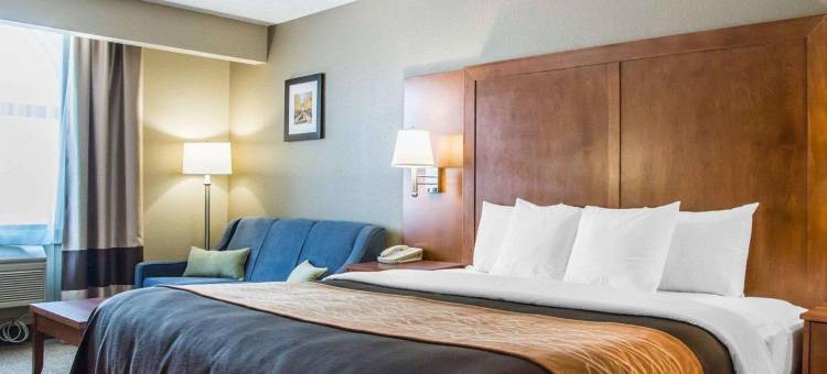贝尔方丹舒适酒店(Comfort Inn)图片