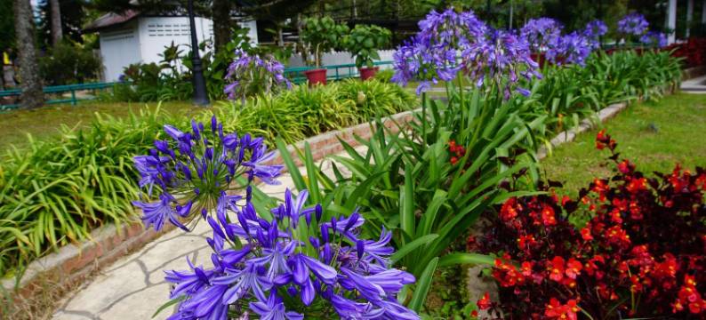 波普艾许酒店(Hotel Pop Ash)图片