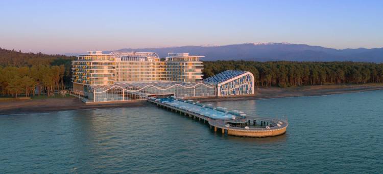 帕拉戈拉夫舍克维提利水疗度假酒店-傲途格精选(Paragraph Resort & Spa Shekvetili, Autograph Collection)图片