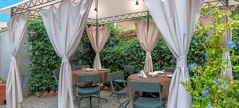 含羞草 B & B(B&B la Mimosa)图片