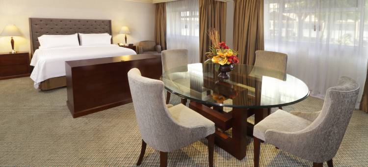 Holiday Inn 蒙特雷NORTE(Holiday Inn Monterrey Norte)图片