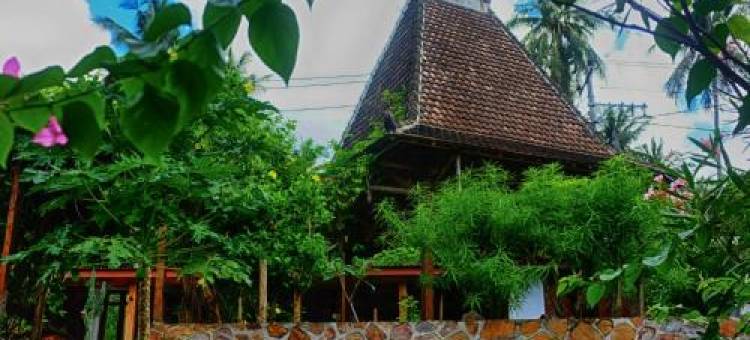 卡里姆加瓦阿玉酒店(Ayu Hotel Karimunjawa)图片