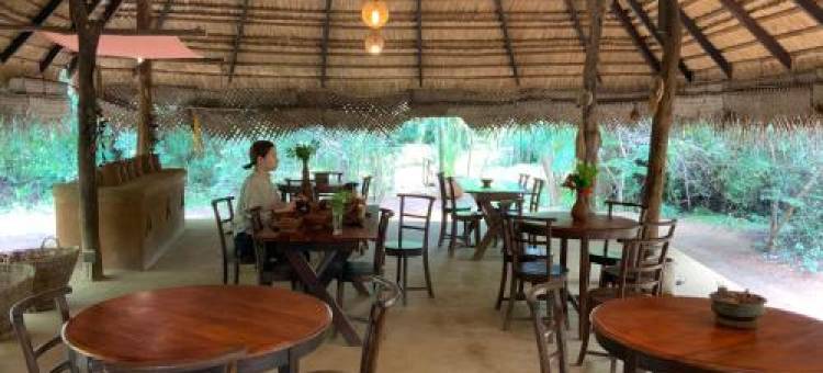 阿斯瑞亚阿育吠陀阿什拉姆旅馆(Athreya Ayurveda Ashram)图片