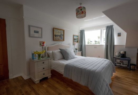 Halwell Lodge Hotel Overview