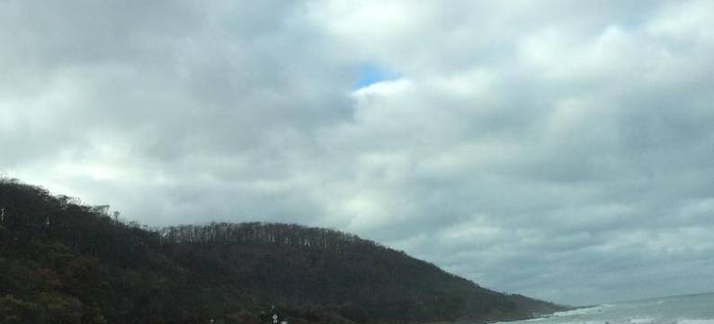 扬洁朱克住宿加早餐旅馆(Jan Juc Bed and Breakfast)图片