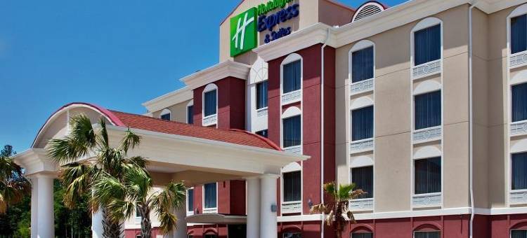智选假日套房酒店阿米特(Holiday Inn Express & Suites AMITE by IHG)图片