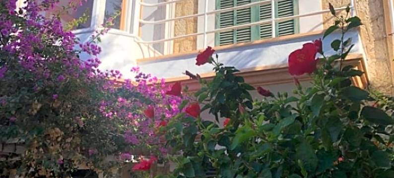 索列尔太阳港酒店(Sol Port Soller)图片