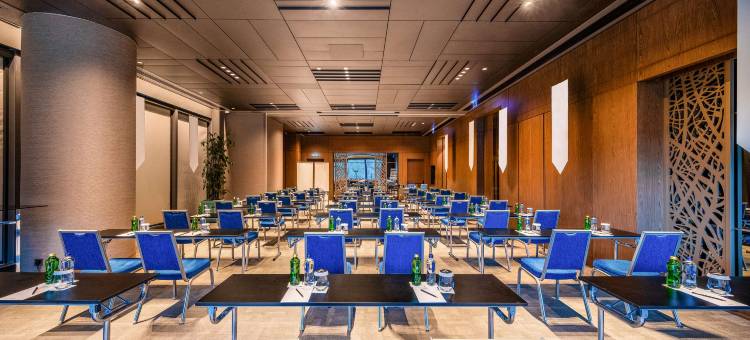 瓦迪斯坦布尔丽笙精选酒店(Radisson Collection Hotel Vadistanbul)图片