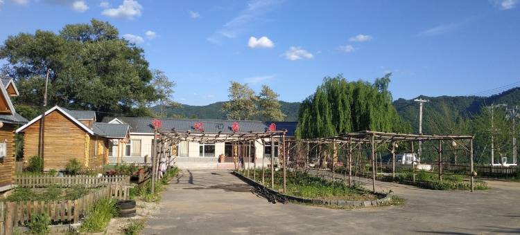 绿江村郭记鑫园农家院(绿江村分店)图片